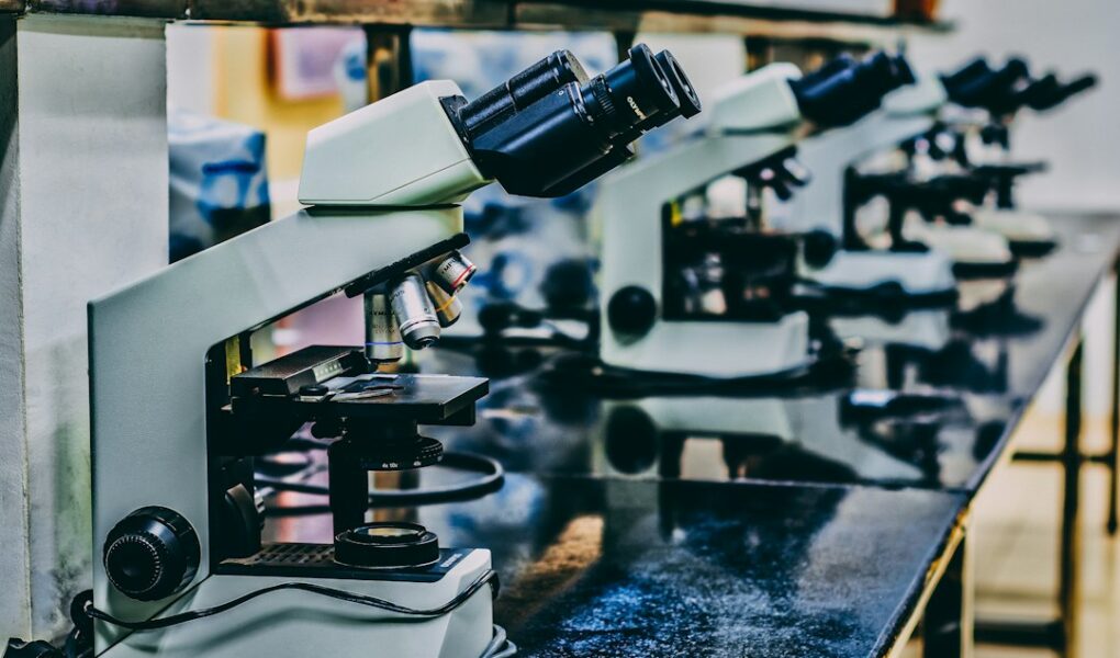Vitenskap: Utforskning av Universets Mysterer og Bioteknologiske Fremskritt